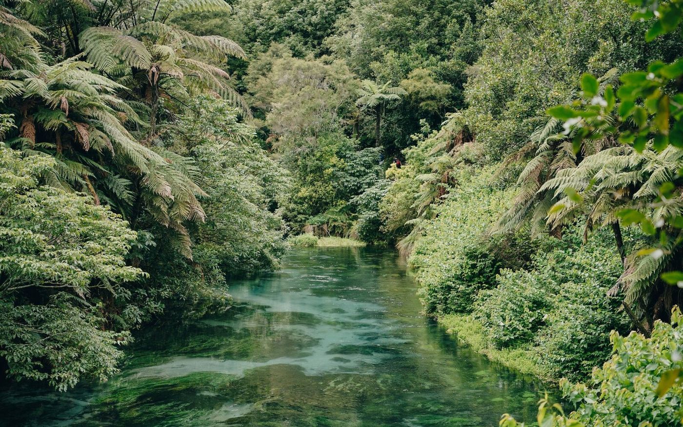 Rio preservado com mata ciliar